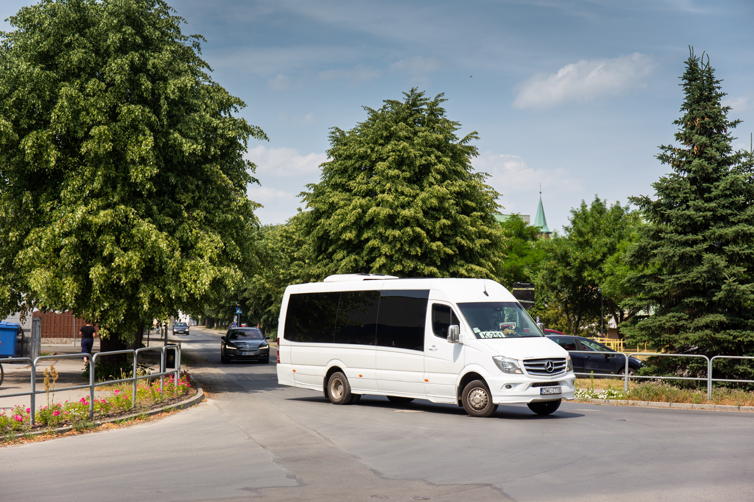 Mercedes-Benz 519 CDI / Mercus MB Sprinter #DWL CT18