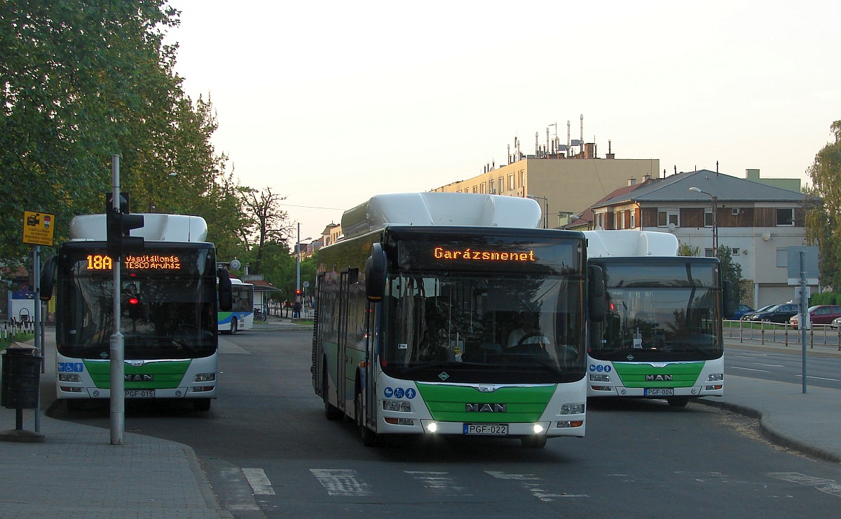 MAN NL313 Lion`s City CNG #PGF-022