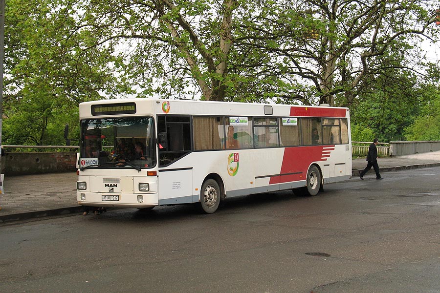 MAN SÜ242 #GUU-917