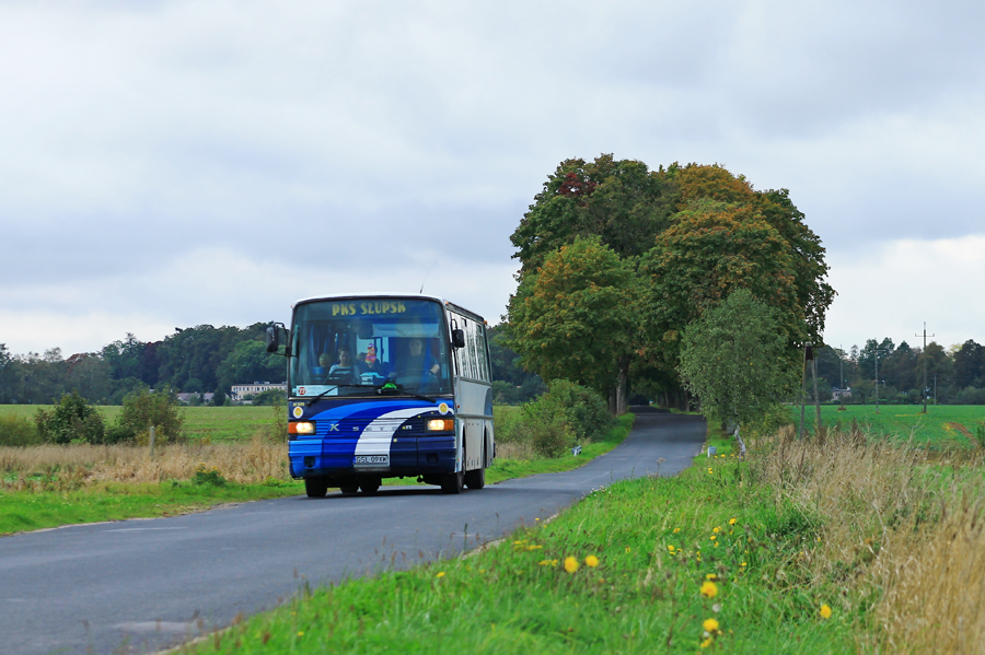 Setra S215 UL #40410