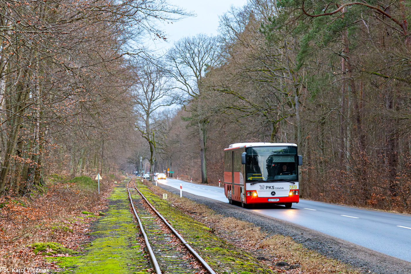 Mercedes-Benz O550L #7303