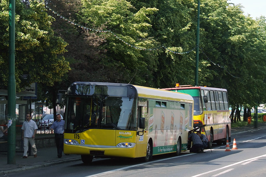 Solaris Urbino 12 #175