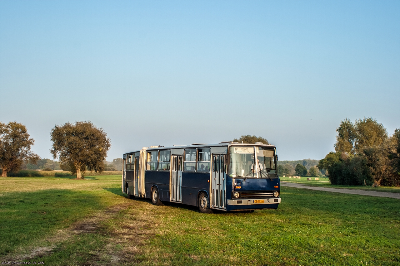 Ikarus 280.49 #2606