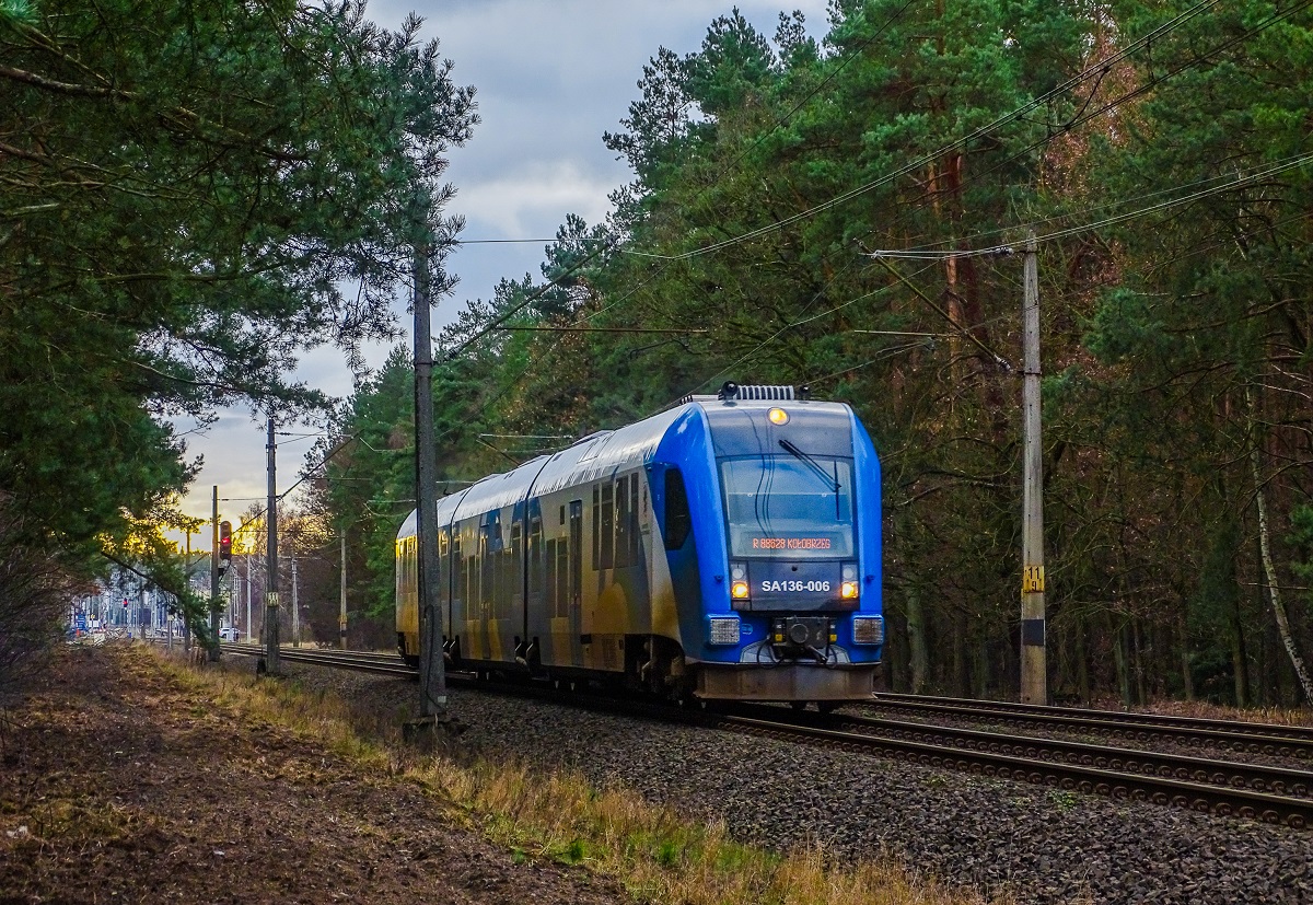 PESA 219M #SA136-006