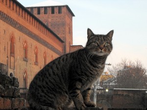 Di guardia al Castello