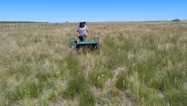 Imagen Noticia: Innovación tecnológica para pequeños productores y la conservación de pastiz