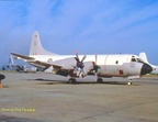 Lockheed Orion RF NZ4202b