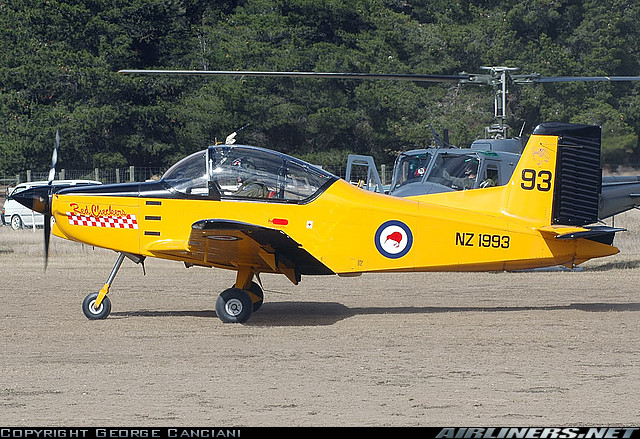 Airtrainer NZ1993 
Wanaka 
16th April 2006
Photo by George Canciani