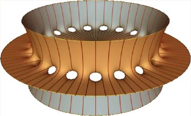  Costa-Hoffman-Meeks Surface 
 (Image courtesy of Matthias Weber) 