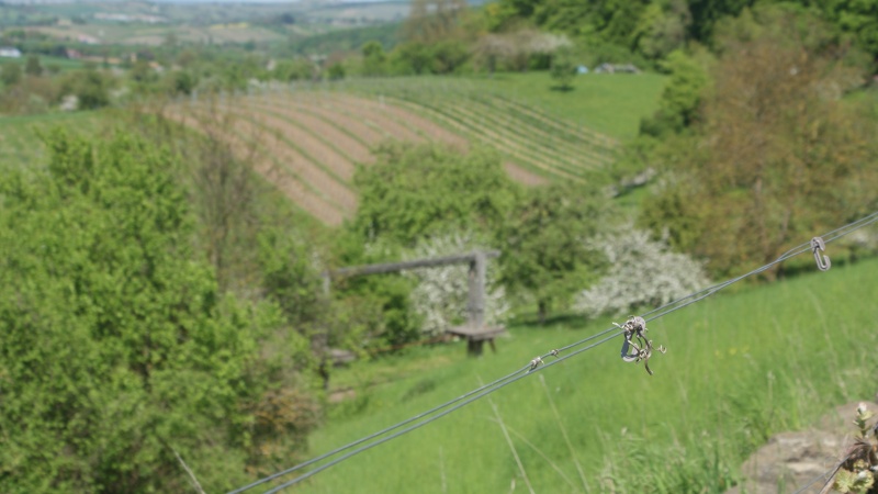 Datei:In der Kelter Diefenbach klein.jpg