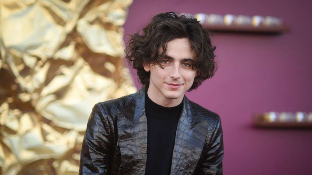 Timothée Chalamet verblüfft Fans bei Doppelgänger-Treffen