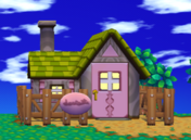 PINK HOUSE ACCF.png