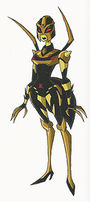 PredaconBlackarachnia-CAA.jpg