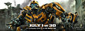 DOTM-Bumblebeebanner.jpg