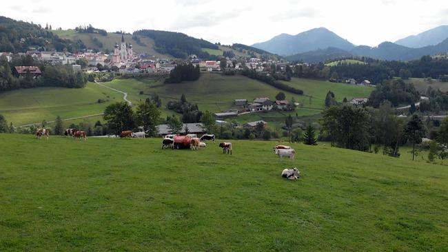 Blick auf Mariazell