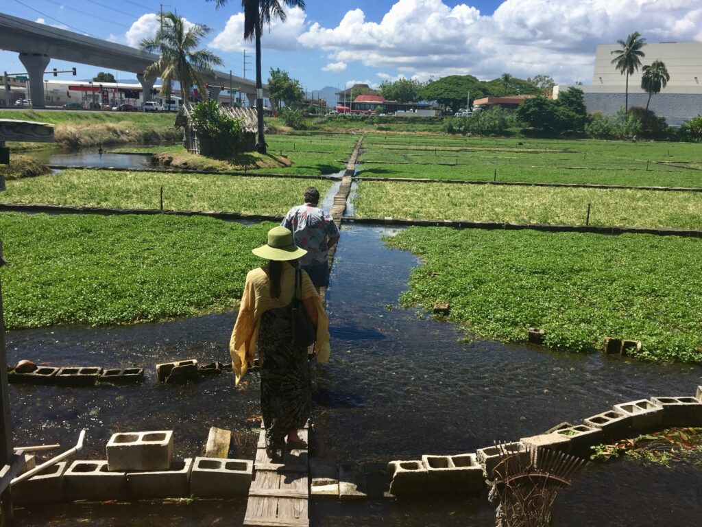 Sumida Farms