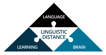 The three domains and the cross-cutting research theme of C-LaBL