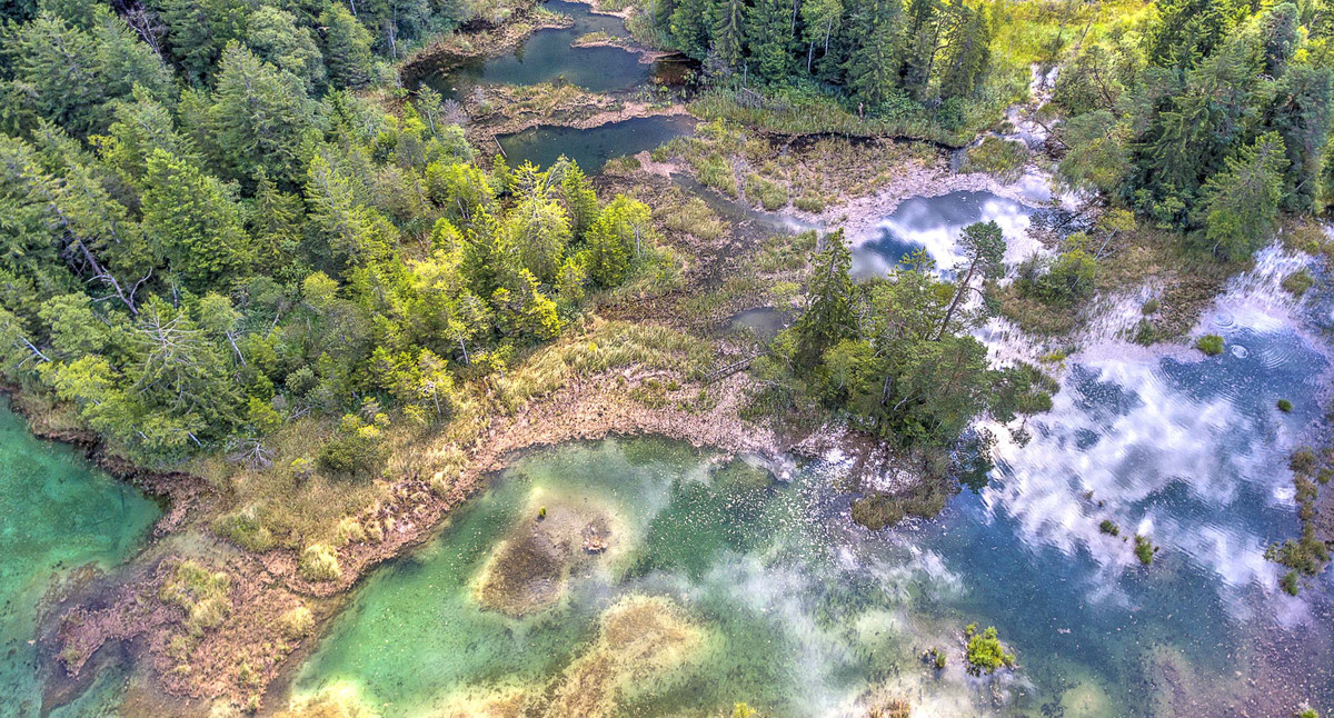 Naturschutzzentrum Wurzacher Ried