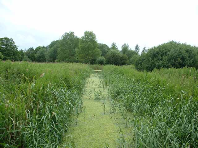 File:Carlton Marshes Nature Reserve - geograph.org.uk - 159341.jpg