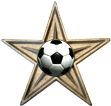 You are hereby awarded this "Football Barnstar" for dedicating your time and effort during the month of November, 2007 on formulating Wikipedia's NC for sports teams. --Riurik(discuss) 07:10, 21 December 2007 (UTC)