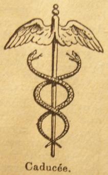 File:Caduceus by Augé.jpg