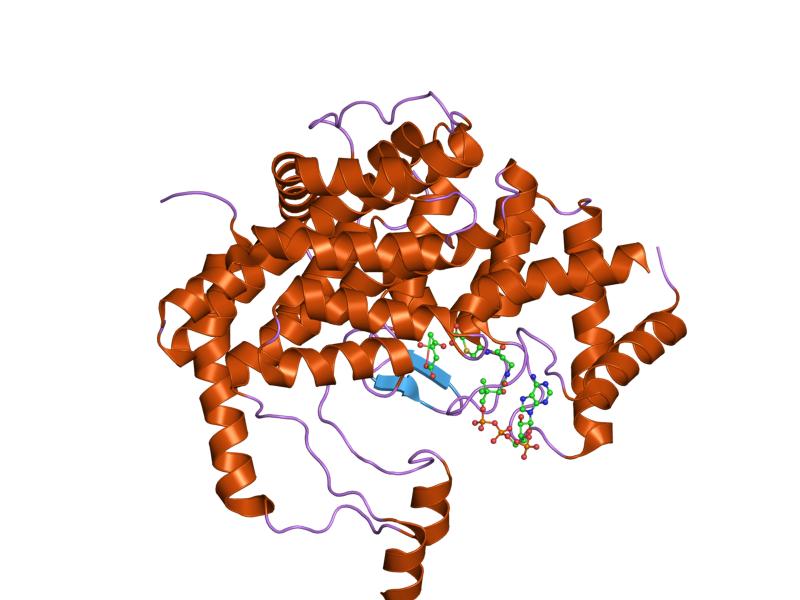 File:PDB 1csc EBI.jpg