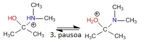 3.pausoa: azido-base oreka