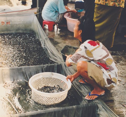 File:Woman with a basket with fish at a fish market in Indonesia.jpg