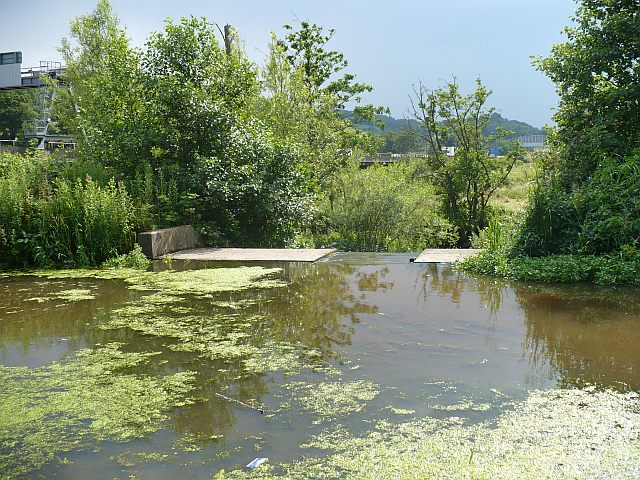 File:Canal overspill - geograph.org.uk - 884663.jpg