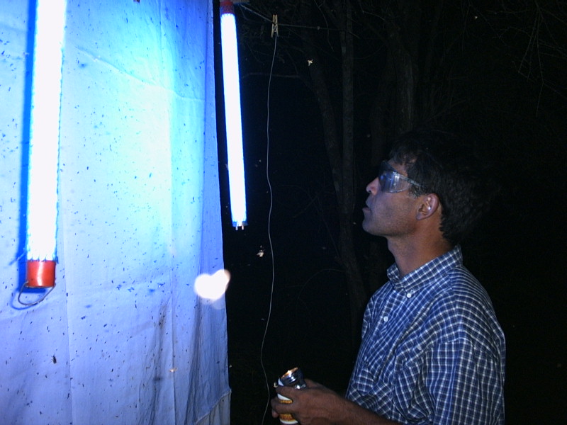 File:Ultraviolet trap entomologist.jpg