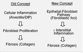 Pathobiology of IPF