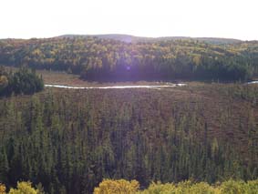 File:Aussicht über den Algonkin-Park vom Beavertrail her4.10040023.JPG