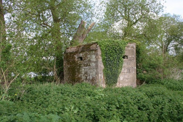 File:Ivy growing down - geograph.org.uk - 1276717.jpg