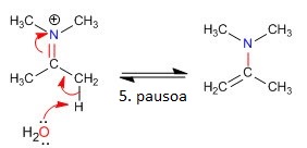 5.pausoa: eliminazioa