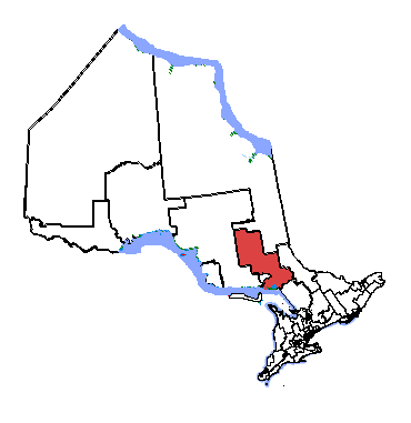 File:Nickel Belt.png