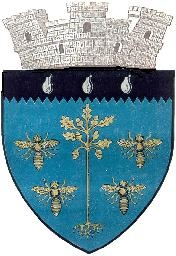 File:ROU SV Vicovu de Sus CoA.png