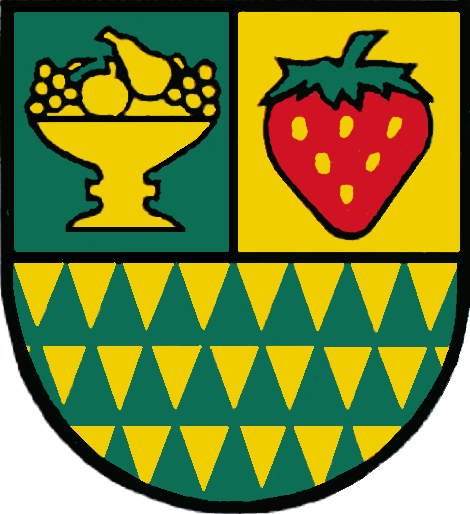 File:AUT Wiesen COA.png