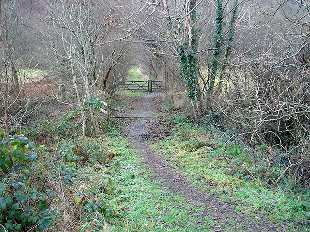 File:Bridleway crossing the Mawddach Trail - geograph.org.uk - 1103561.jpg