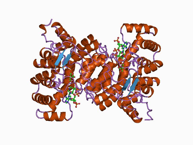 File:PDB 1aj8 EBI.jpg