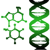 File:Lq-dna.png