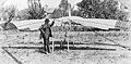 John Joseph Montgomery's Tandem-Wing glider (1905)