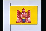 Officiële tekening van de vlag