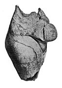 verschieden von: Venus of Brassempouy 