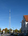 Maibaum