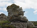 Rauken Hoburgsgubben på Gotland.