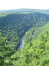 Pine Creek Gorge with Pine Creek and Pine Creek Rail Trail, in Tioga County, Pennsylvania