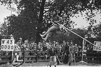 Willem Verwey Polsstokverspringen