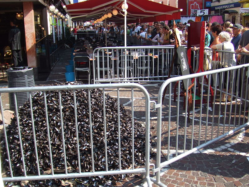 File:Tas de moules.jpg