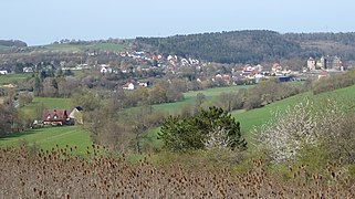 Beide Wern-Arme oberhalb von Thüngen