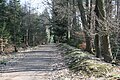 Limeswall in der Nähe des vermuteten Wp 4/104, Strecke 4, Taunus- und Wetteraulinie, Hessen.